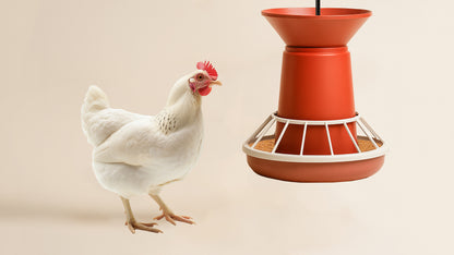 FT50 Deluxe Broiler Feeder