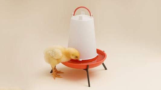 FT50 Deluxe Chick Drinker