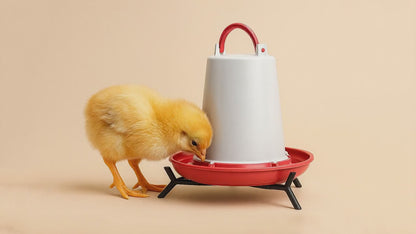 FT50 Deluxe Chick Drinker