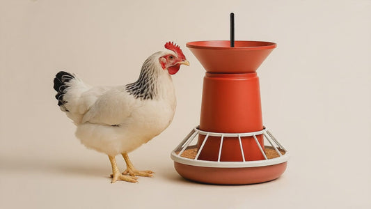 FT50 Deluxe Broiler Feeder