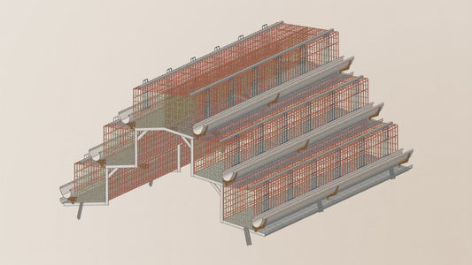 FT508 A Type Commercial Layer Cages